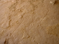 Atlatl petroglyph